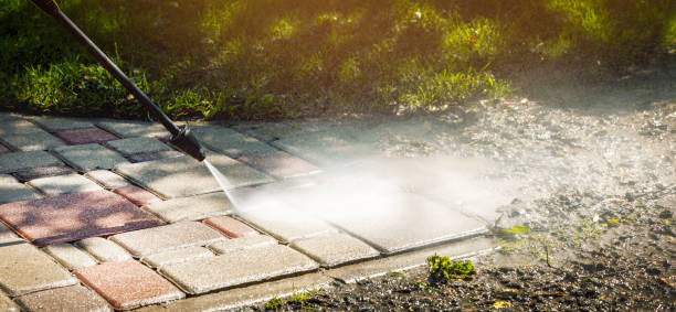 Best Driveway Pressure Washing  in Jellico, TN