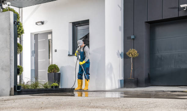 Best Gutter Cleaning  in Jellico, TN